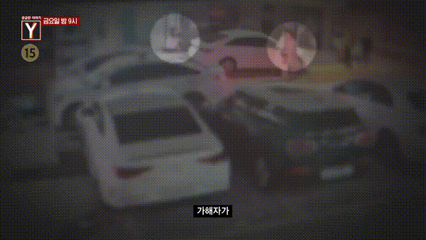  '궁금한 이야기Y' 측은 '압구정 펀치남' 왜?