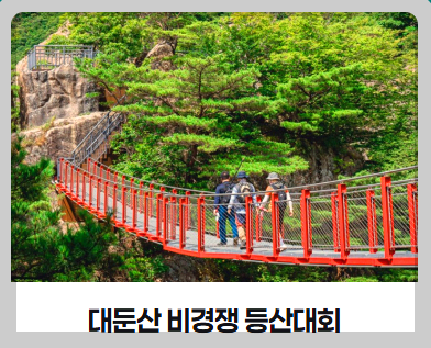 대둔산축제