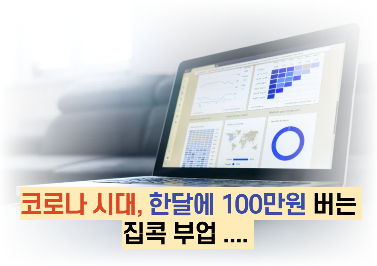  코로나 시대, 하루 2시간, 월 100만원 버는 집콕 부업 ....