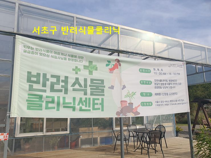 서초구반려식물클리닉 안내