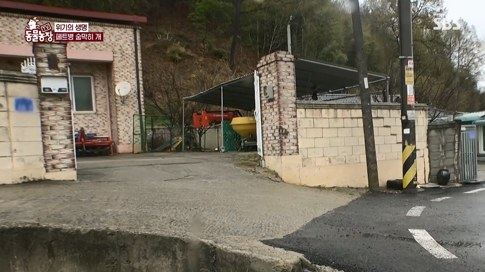 TV 동물농장.E1119.230507p.H264-F1RST.mp4_20230507_135912.630.jpg