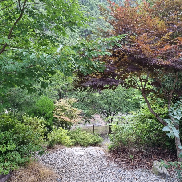 삼척 덕풍계곡펜션 추천 아름골펜션 :) 여름휴가 강원도 24