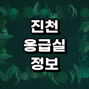 진천군 응급실