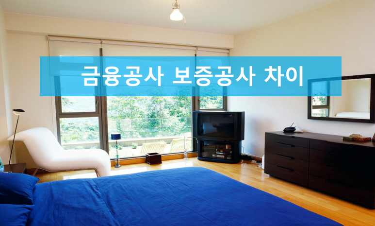 HF) 차이점 비교하기 주택도시보증공사와 한국주택금융공사(HUG, 4