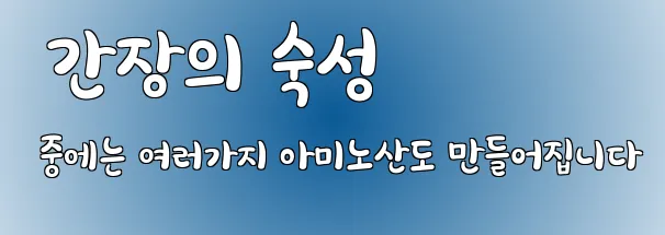  간장의 숙성 중에는 여러가지 아미노산도 만들어집니다