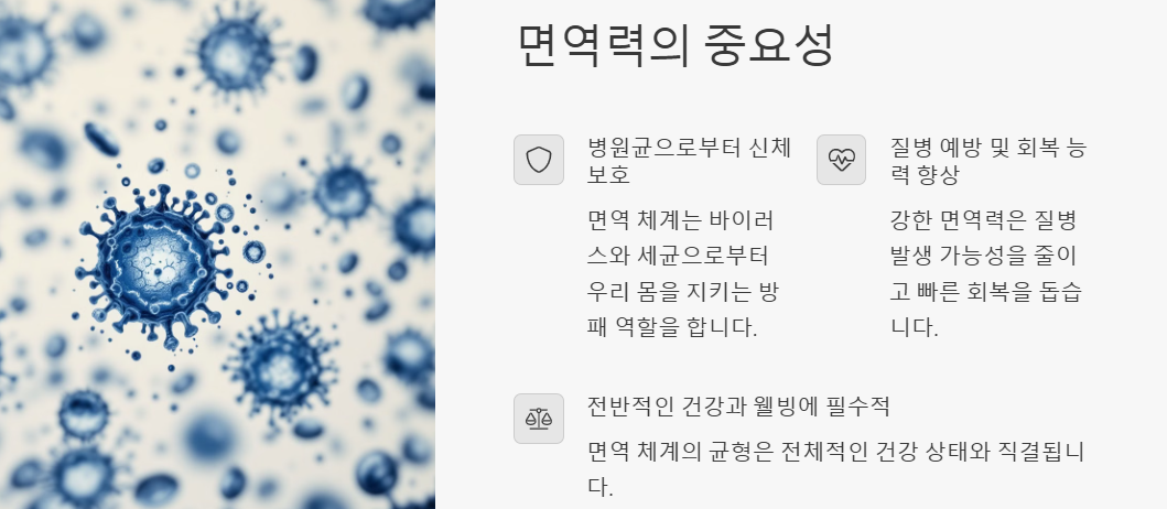 면역력 증대(강화,개선,확대) 방법: 생활습관,식습관,운동,영양보조제