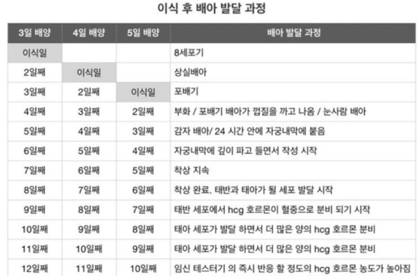 착상 잘되는 방법