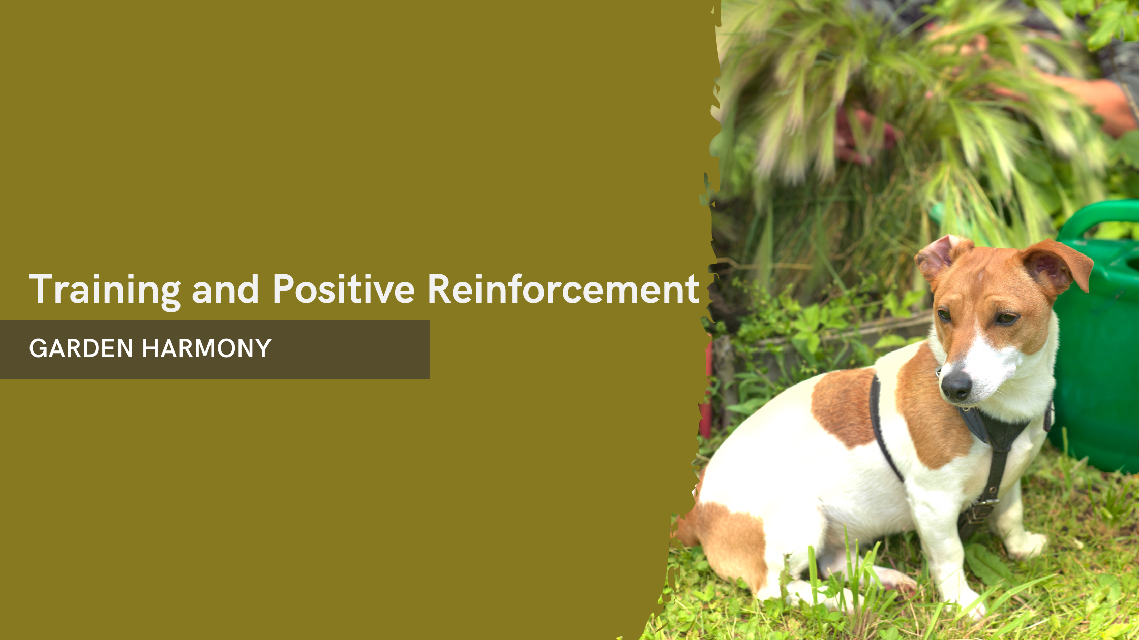 The Ultimate Guide to Keeping Your Dog Out of Mulch Essential Tips for