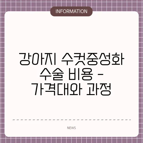 강아지 수컷중성화 수술 비용 - 가격대와 과정