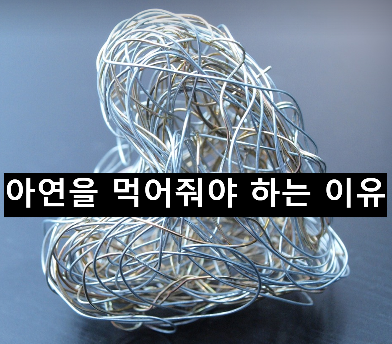  아연을 먹어줘야하는 이유