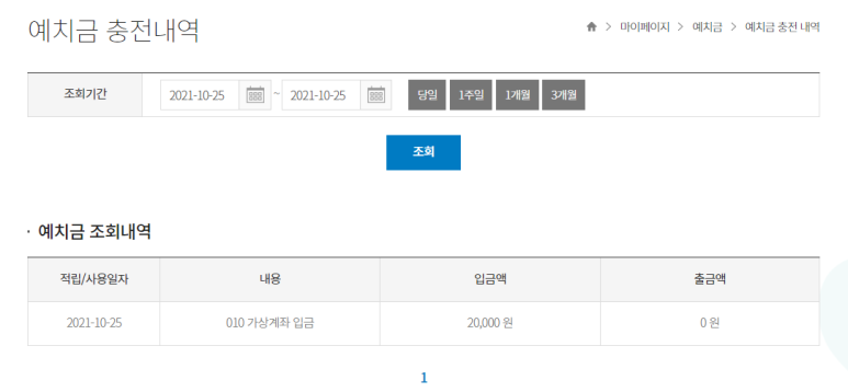 (그만하려고 쓰는 글 로또는 오프라인에서 사기로) 온라인 로또 구매?! 동행복권 홈페이지 인터넷 구매 28