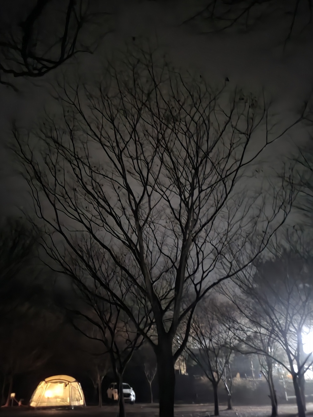호반캠핑장