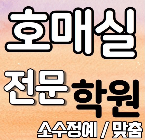  금곡동영어학원 중학생 고등학생 소수 호매실수학학원 내신 금호초 호매실고 개인별 영수전문 중학수학 중학영어 고등부 중등부