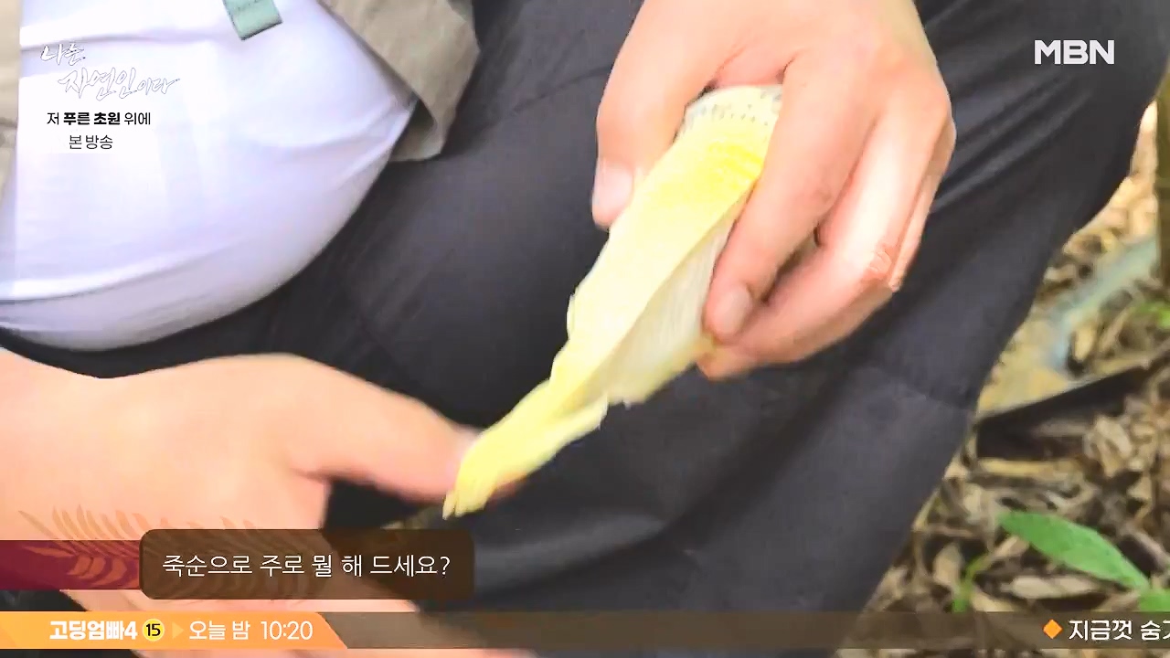 나는 자연인이다.E607.240530p-NEXT.mp4_20240530_200515.595.jpg