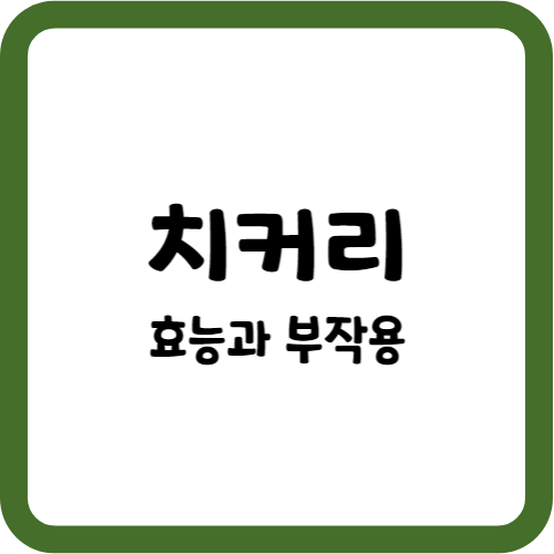 치커리의 효능과 부작용