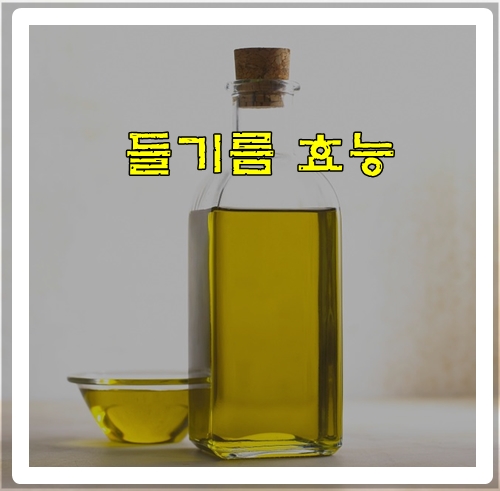  생 들기름 효능 5가지