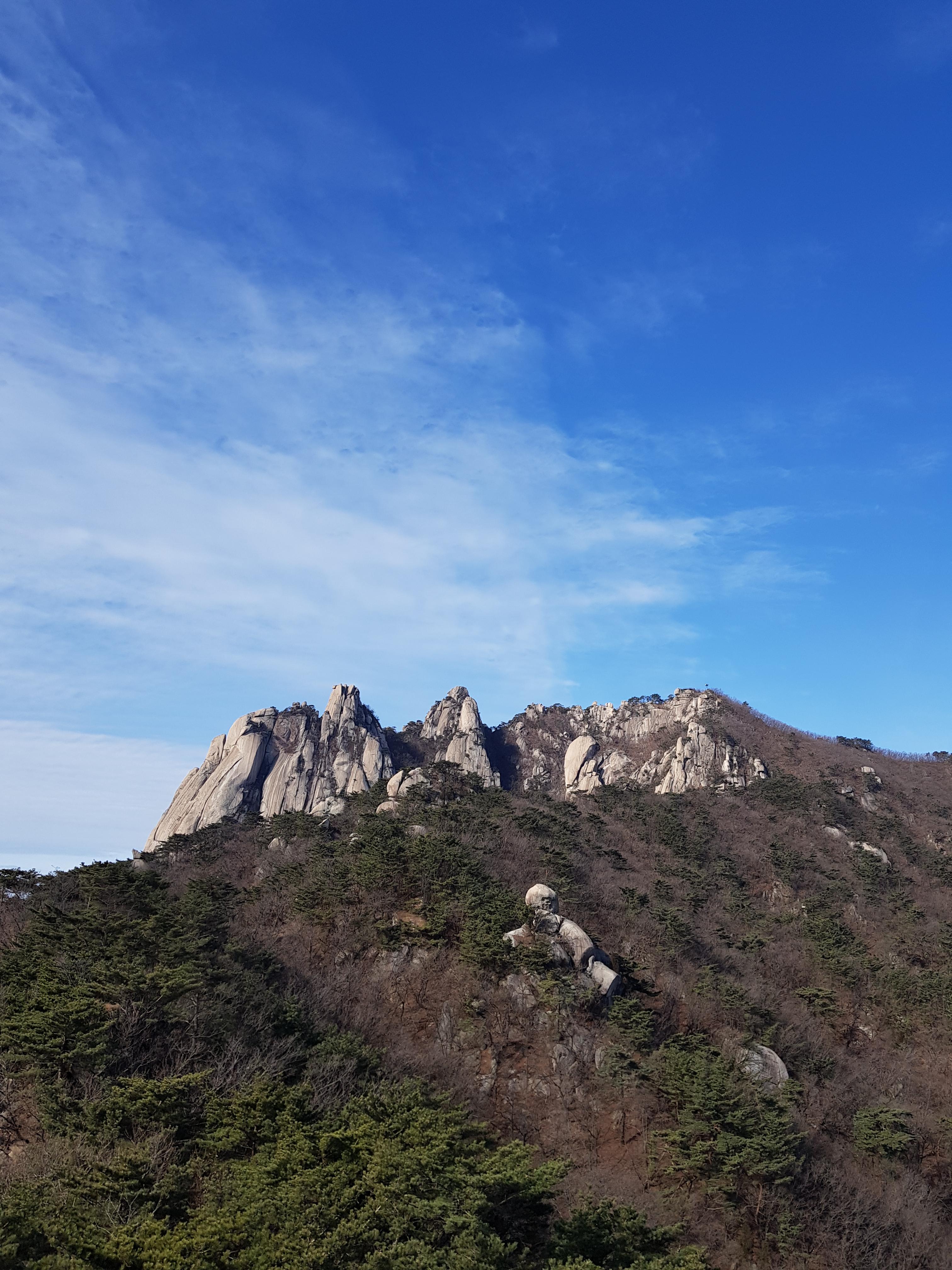 비컴프리 이미지