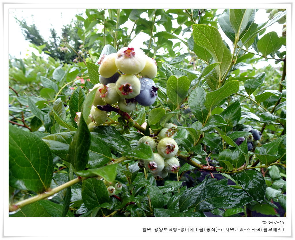 평화농원 이미지