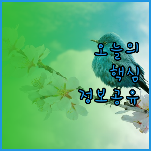 마다가스카르 노시 비 호텔 숙박 후기
