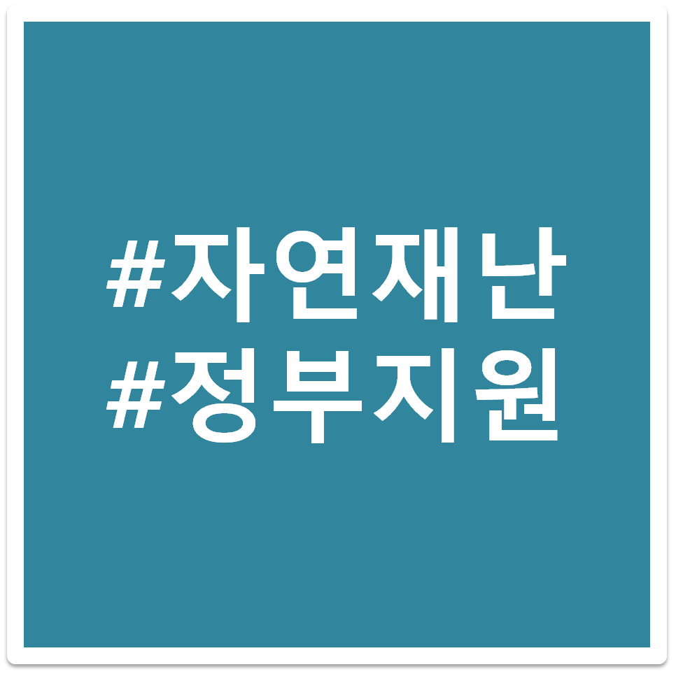 정부지원 태그 이미지