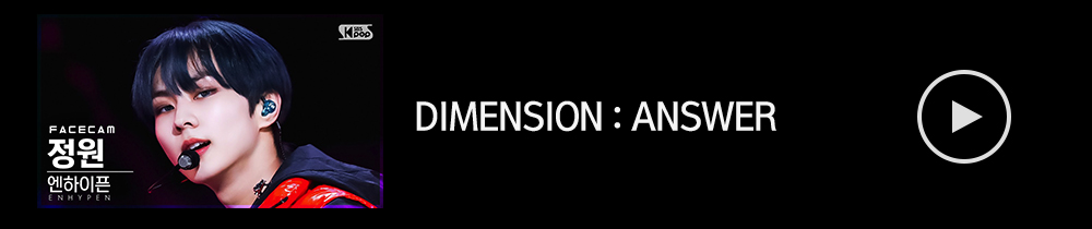 디멘션앤써