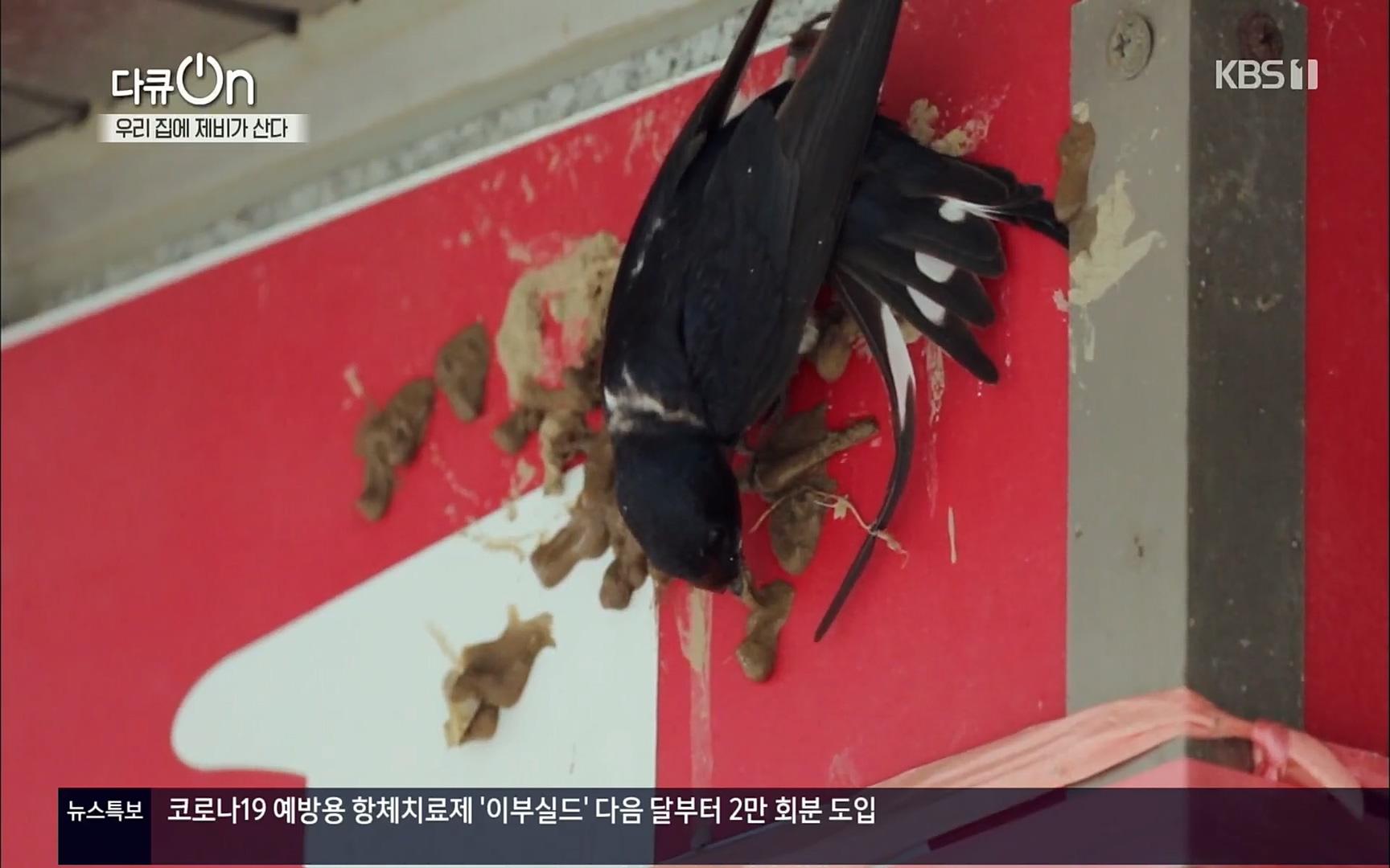 다큐 On.E143.220610p.H264-F1RST.mp4_20220613_200943.886.jpg