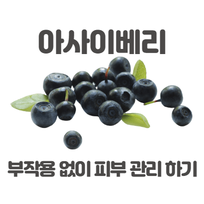  아사이베리 부작용 없이 피부 관리 하기!