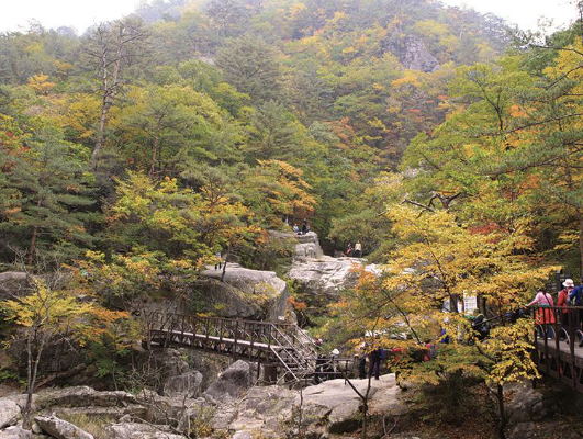 평창 가볼만한곳