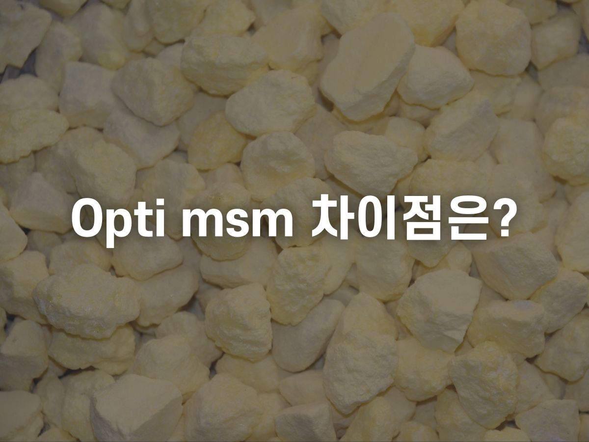 msm opti msm 차이점