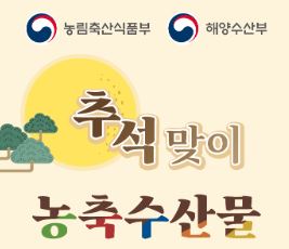  추석 할인 쿠폰 대형마트, 전통시장, 온라인 사용방법