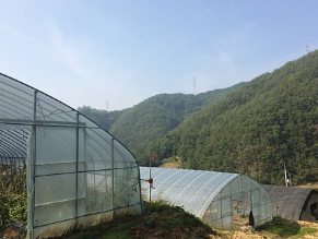 농업인 자격 (농업 사업자 등록 혜택) 5