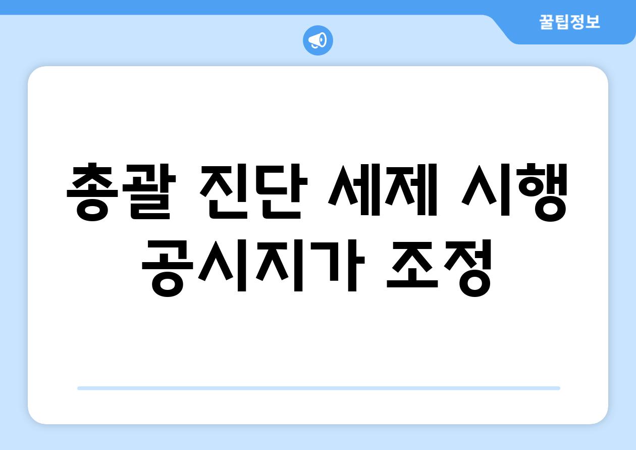 총괄 진단 세제 시행, 공시지가 조정