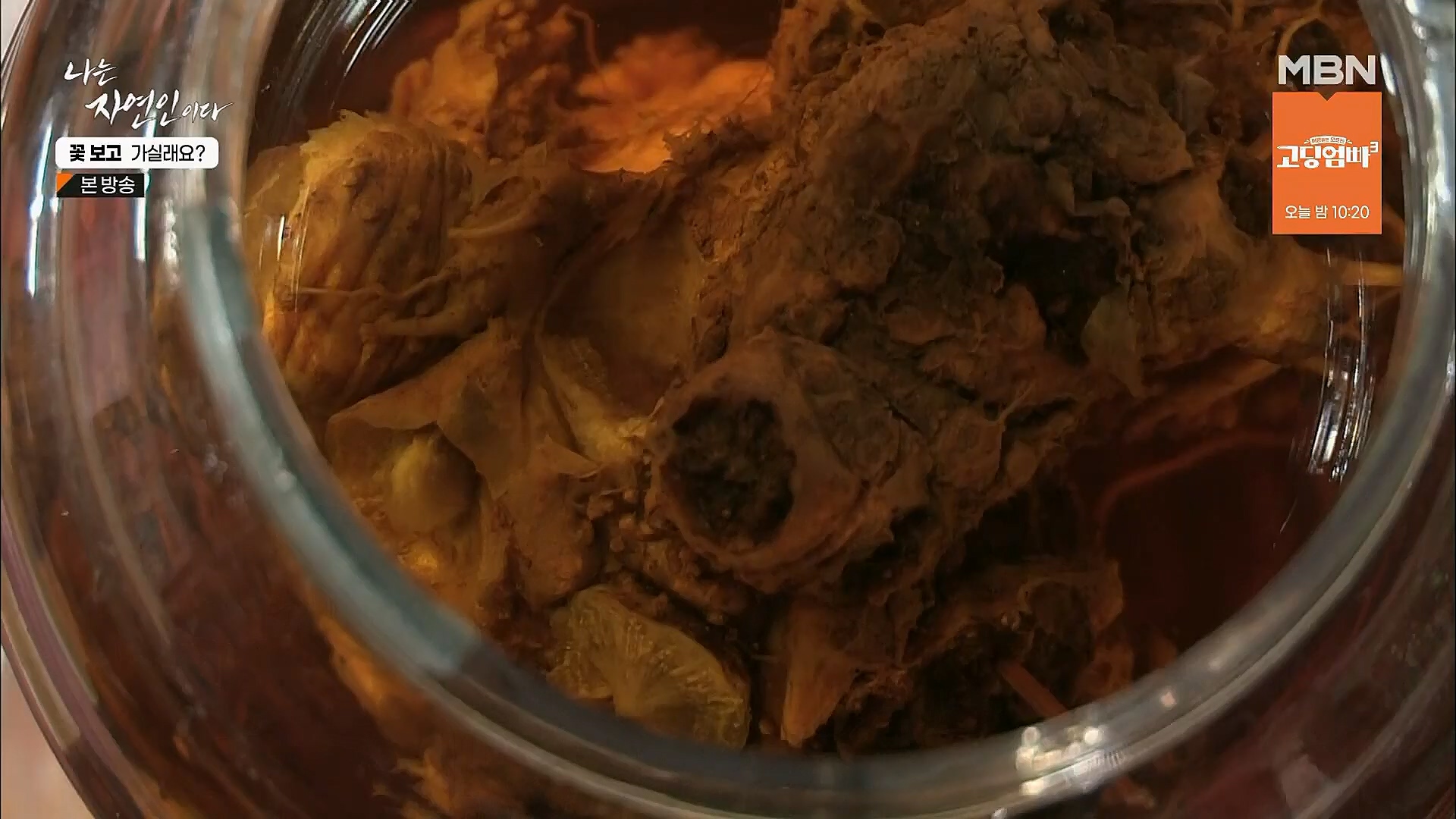 나는 자연인이다.E545.230315p.H264-F1RST.mp4_20230316_212103.825.jpg