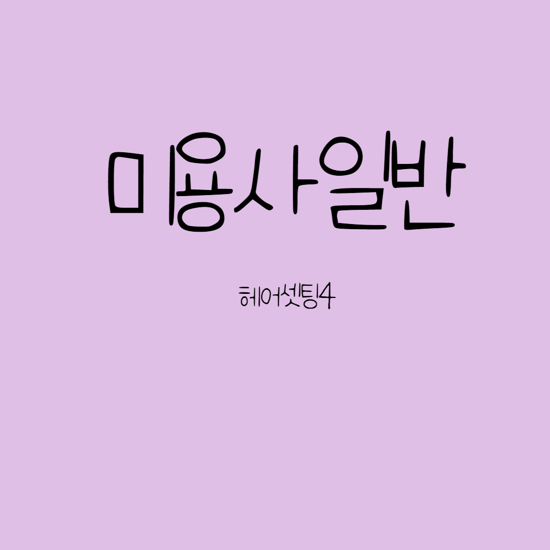  블로 드라이의 종류