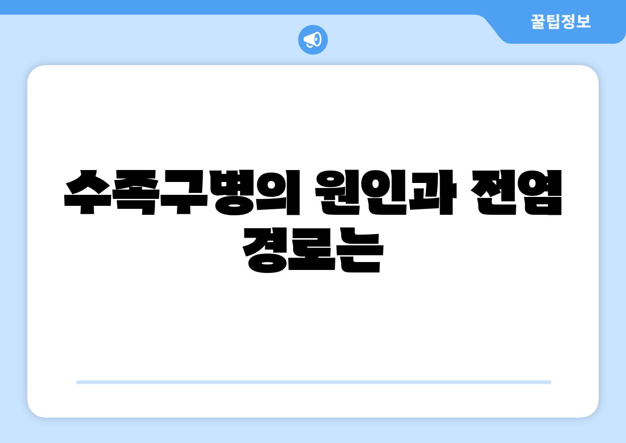 수족구병의 원인과 전염 경로는