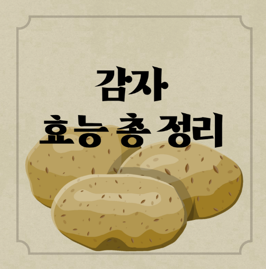  감자 효능과 부작용 총정리! [고르는법, 보관방법]