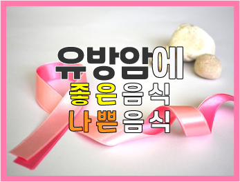  유방암 환자 및 유방암 예방에 좋은 음식과 나쁜 음식은?