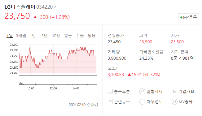  LG디스플레이주식 분석