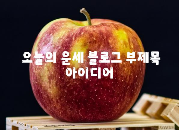  오늘의 운세 블로그 부제목 아이디어