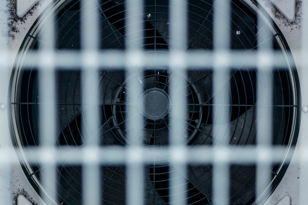 Fan.