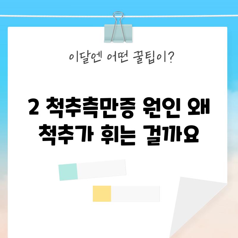 2. 척추측만증 원인: 왜 척추가 휘는 걸까요?