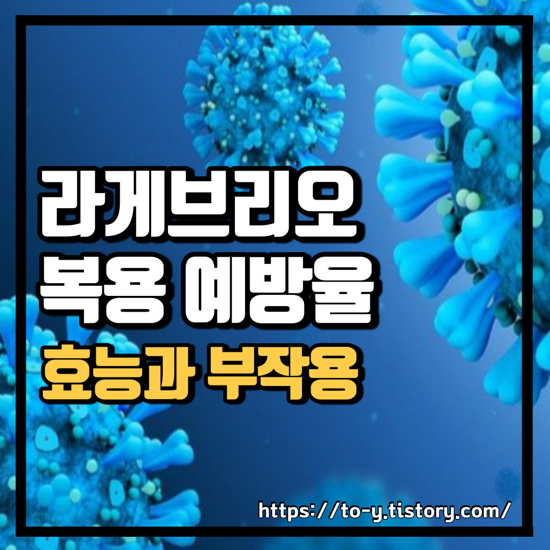 라게브리오 복용 효능,예방률