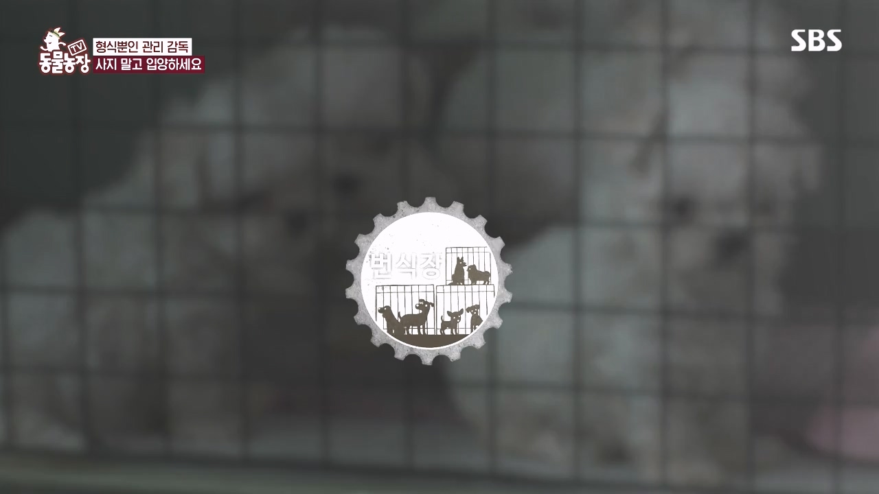 TV 동물농장.E1142.231023p-NEXT.mp4_20231022_174020.793.jpg