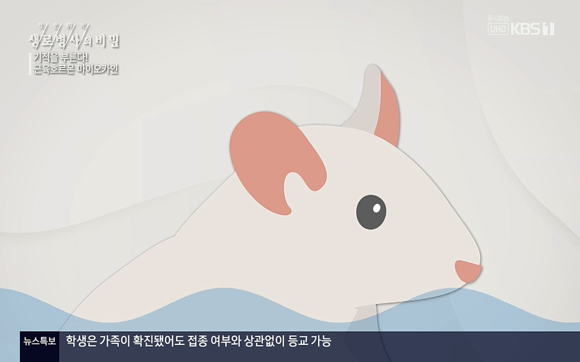 생로병사의 비밀.E816.220331p-NEXT.mp4_20220331_185213.203.jpg
