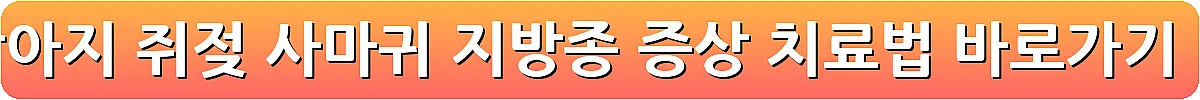 강아지 쥐젖 사마귀 지방종 증상 치료법_20