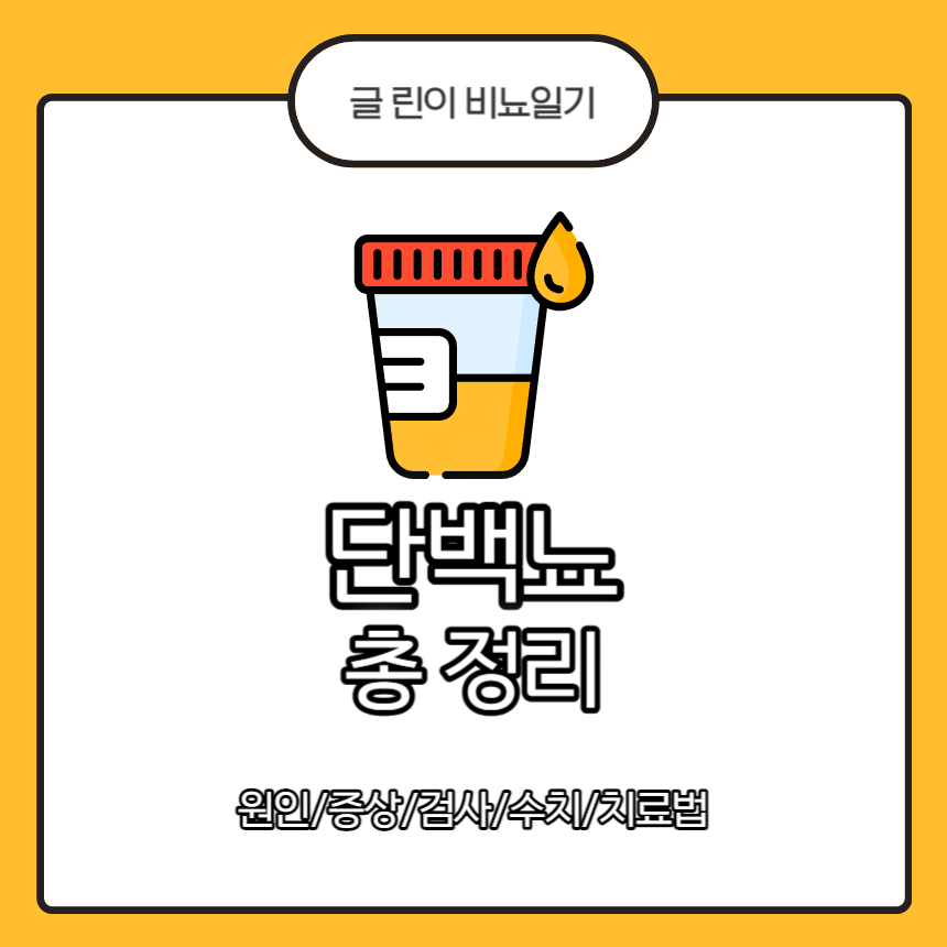  단백뇨 총 정리 Part.1 : 원인/증상/검사/수치/치료법