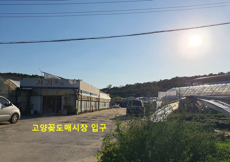 고양꽃도매시장 입구