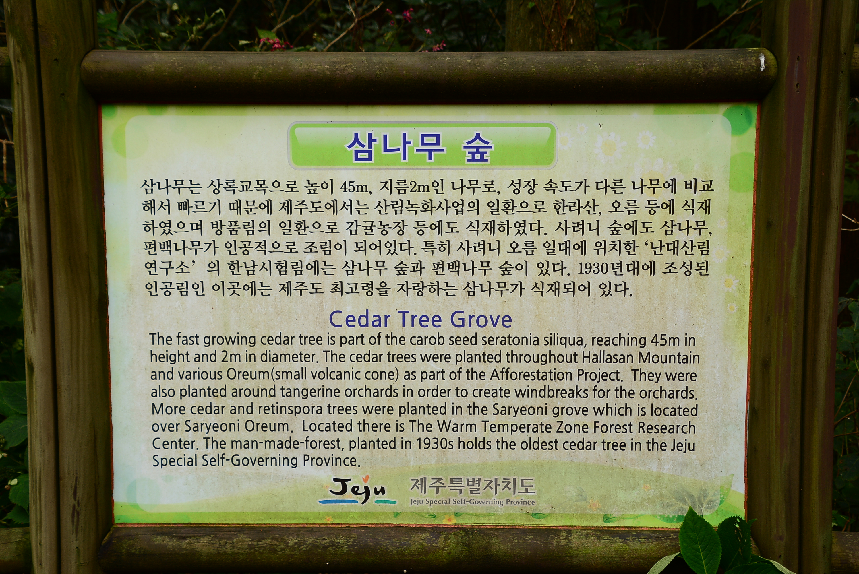 제주섬돌 대표 사진