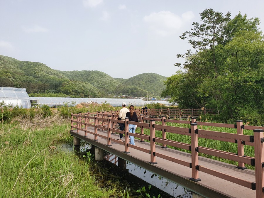 경안천 습지생태공원 여행 경기도 광주에 가볼 만한 곳 23