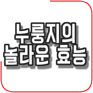  누룽지의 놀라운 효능